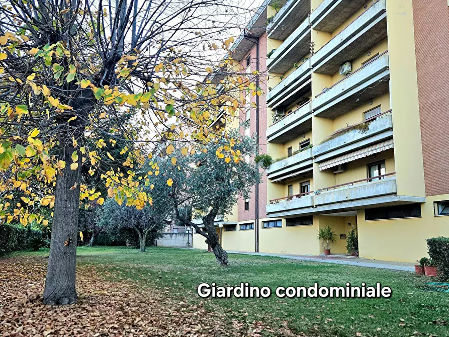 Immagine 19 di Appartamento in vendita  in Quartiere San Benedetto a Teramo