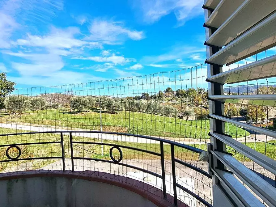 Immagine 24 di Villa in vendita  in Via della Pineta a Colledara