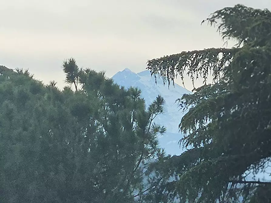 Immagine 19 di Appartamento in vendita  in Via Martella a Teramo