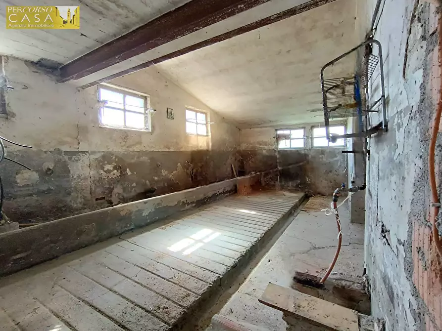 Immagine 14 di Casa indipendente in vendita  a Bellante