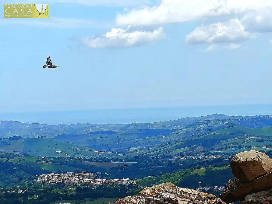 Immagine 15 di Casa indipendente in vendita  in Battaglia a Campli