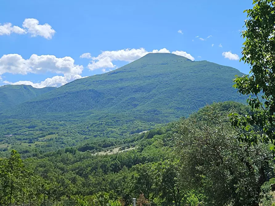 Immagine 12 di Appartamento in vendita  a Ancarano