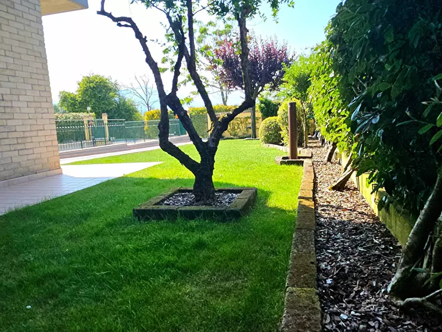 Immagine 4 di Casa semindipendente in vendita  in Nepezzano a Teramo