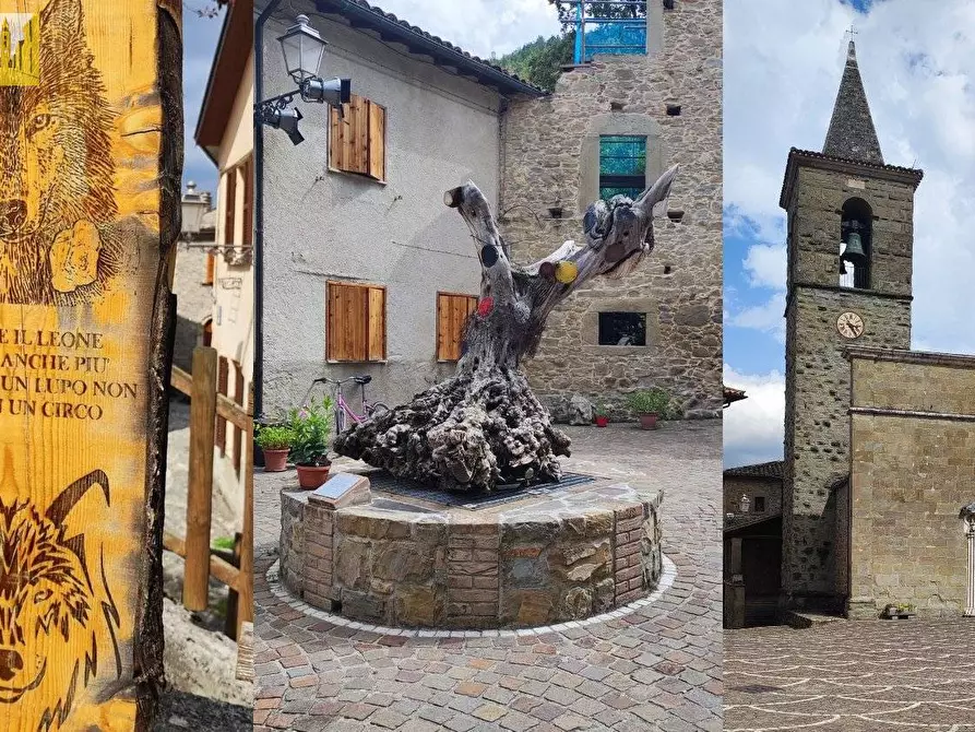 Immagine 19 di Agriturismo in vendita  a Fano Adriano