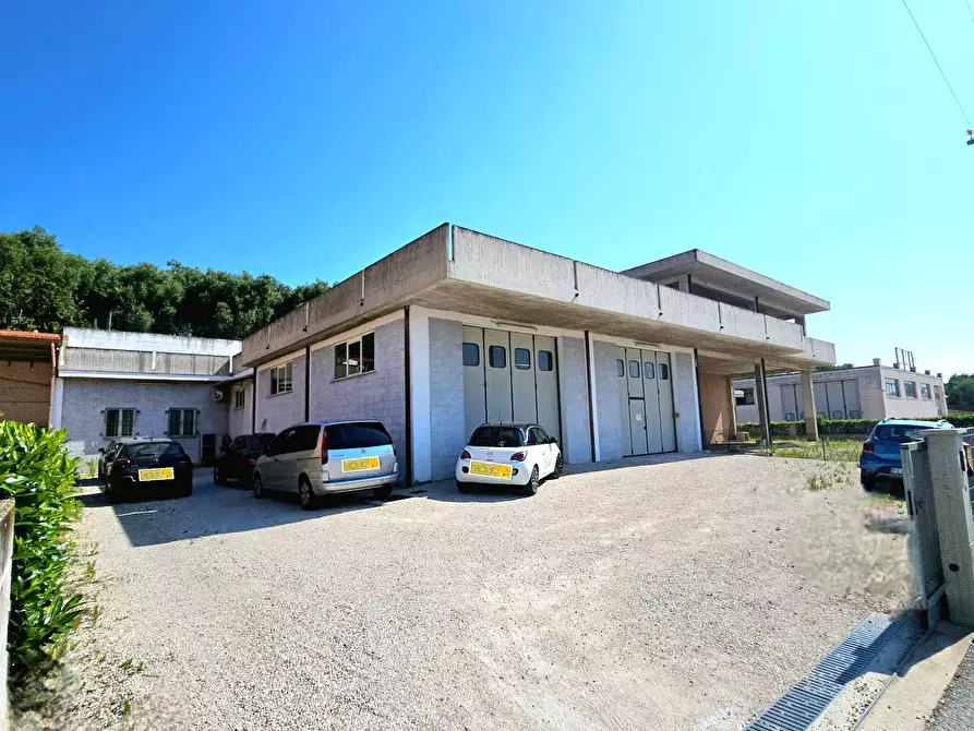 Immagine 5 di Capannone industriale in vendita  in Via del Commercio a Bellante