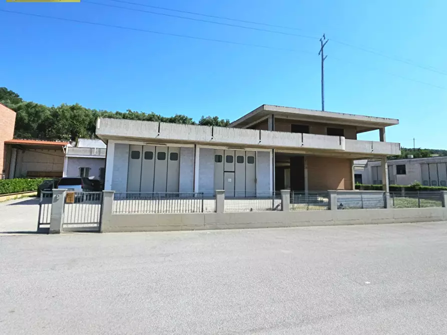 Immagine 2 di Capannone industriale in vendita  in Via del Commercio a Bellante