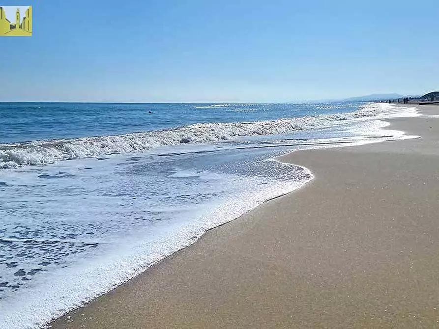 Immagine 6 di Agriturismo in vendita  in LUNGOMARE SIRENA SNC a Tortoreto