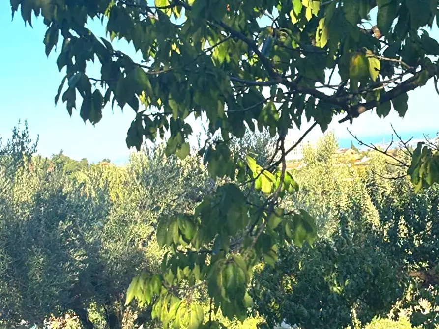 Immagine 24 di Casa semindipendente in vendita  in Alto a Teramo