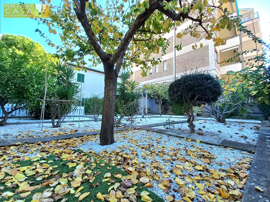 Immagine 24 di Casa semindipendente in vendita  in Via Corsica - 4° fila - 150 mt. dal mare a Tortoreto