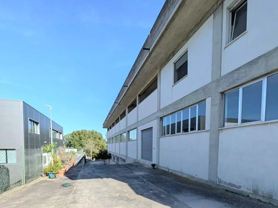 Immagine 2 di Capannone industriale in affitto  in Via Trieste a Bellante