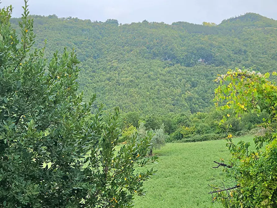 Immagine 21 di Casa semindipendente in vendita  in 10 Min. dal centro a Teramo