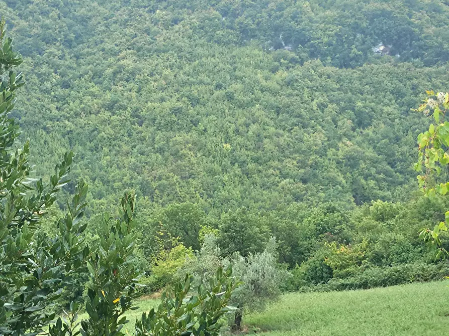 Immagine 22 di Casa semindipendente in vendita  in 10 Min. dal centro a Teramo