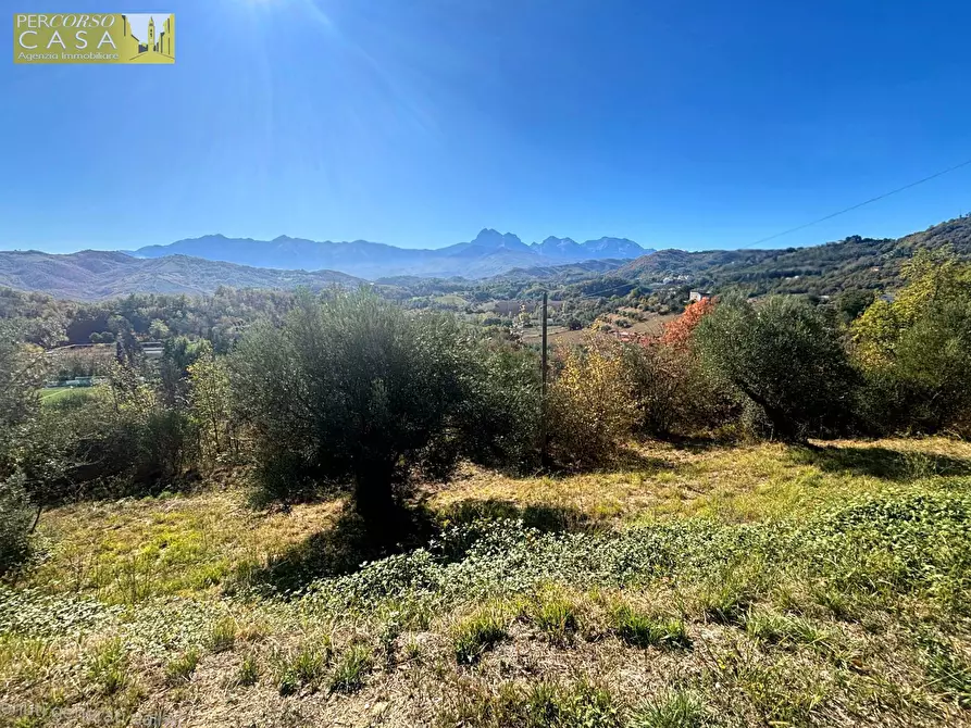 Immagine 4 di Terreno residenziale in vendita  in Via Aldo Moro a Basciano