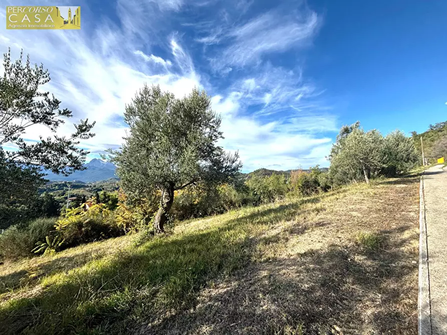 Immagine 9 di Terreno residenziale in vendita  in Via Aldo Moro a Basciano