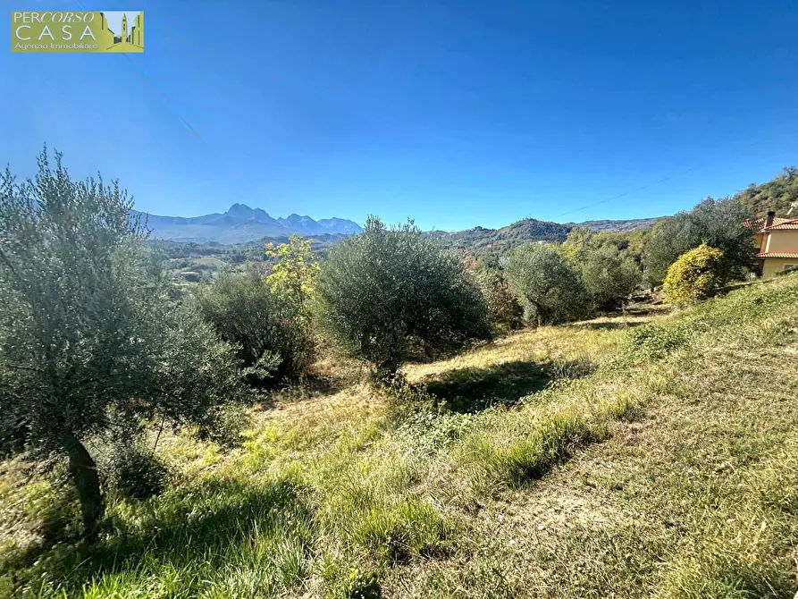 Immagine 11 di Terreno residenziale in vendita  in Via Aldo Moro a Basciano