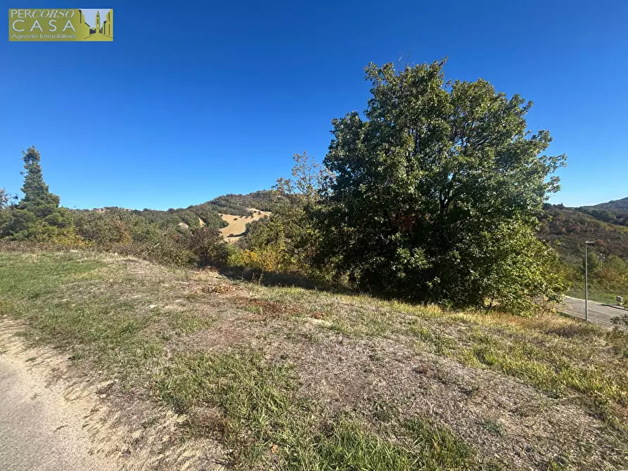 Immagine 10 di Terreno residenziale in vendita  in Via Aldo Moro a Basciano