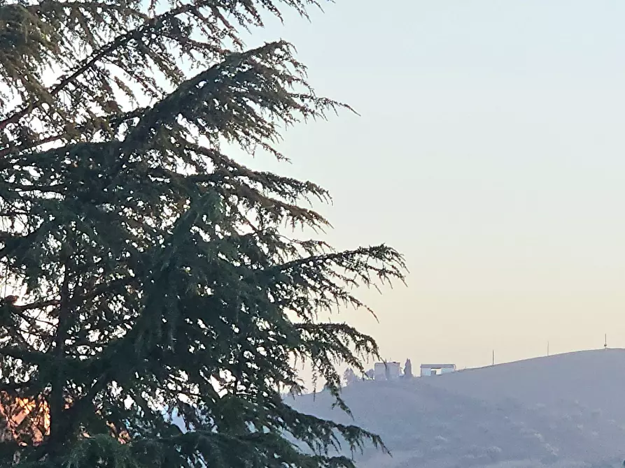 Immagine 16 di Appartamento in vendita  in Via Ignazio Silone 15 a Bellante