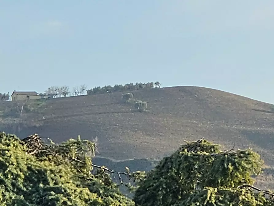 Immagine 15 di Appartamento in vendita  in Via Tirso a Teramo