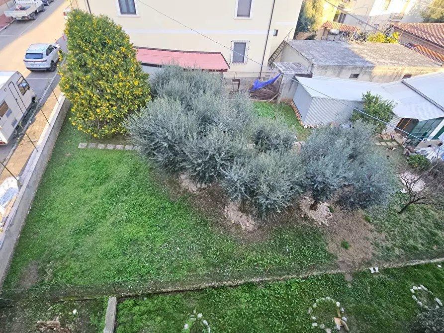 Immagine 16 di Appartamento in vendita  in Via Tirso a Teramo