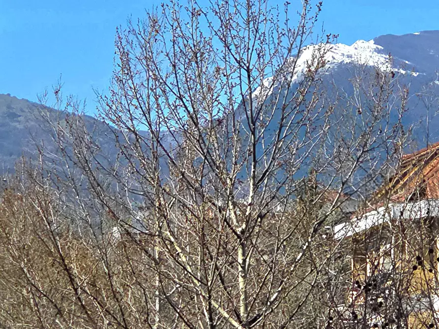 Immagine 18 di Appartamento in vendita  in Viale G. Bovio a Teramo