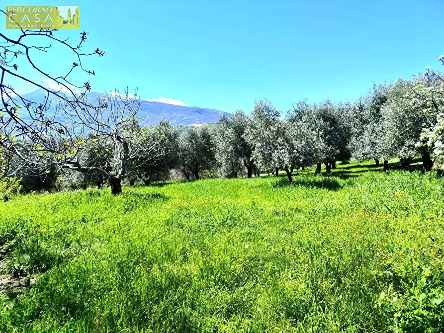Immagine 11 di Appartamento in vendita  in Bivio Collevecchio a Montorio Al Vomano