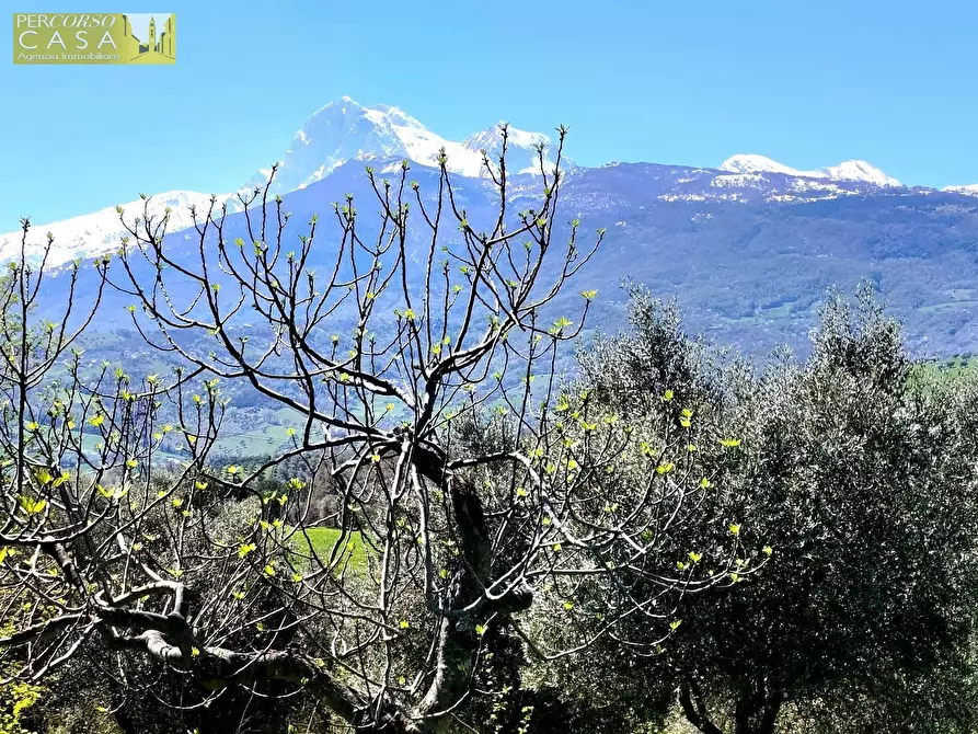Immagine 9 di Appartamento in vendita  in Bivio Collevecchio a Montorio Al Vomano