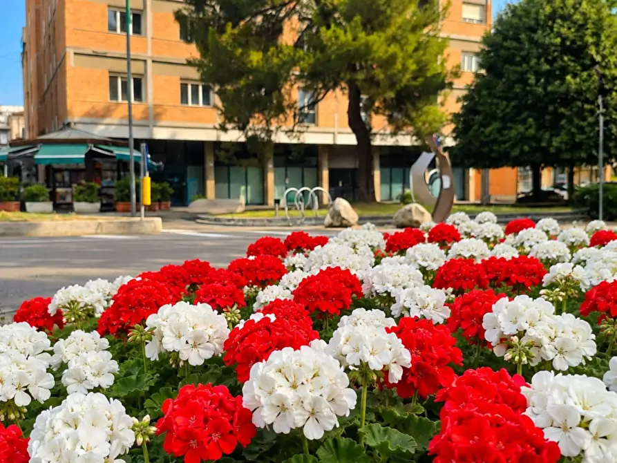Immagine 1 di Attico in vendita  in Via Porta Carrese a Teramo