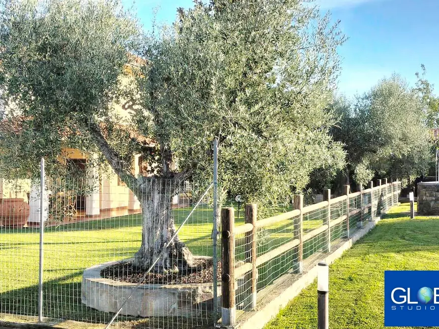 Immagine 21 di Villa in vendita  in Via Circonvallazione 10 a Grosseto
