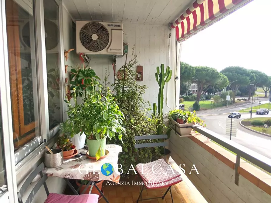 Immagine 7 di Appartamento in vendita  a Grosseto