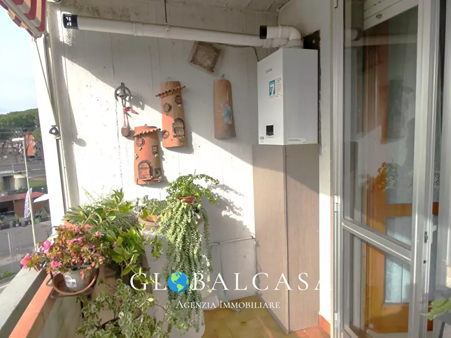 Immagine 9 di Appartamento in vendita  a Grosseto