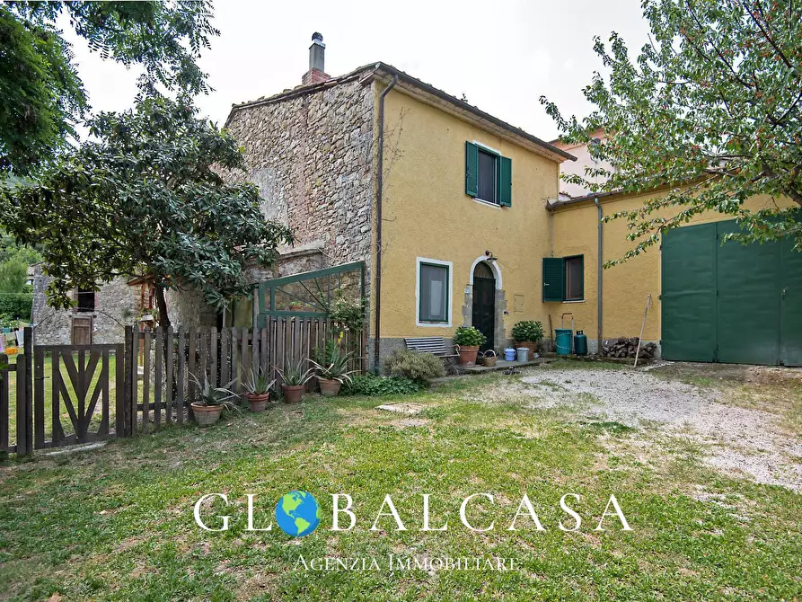 Immagine 6 di Rustico / casale in vendita  in case sparse 17 a Scansano