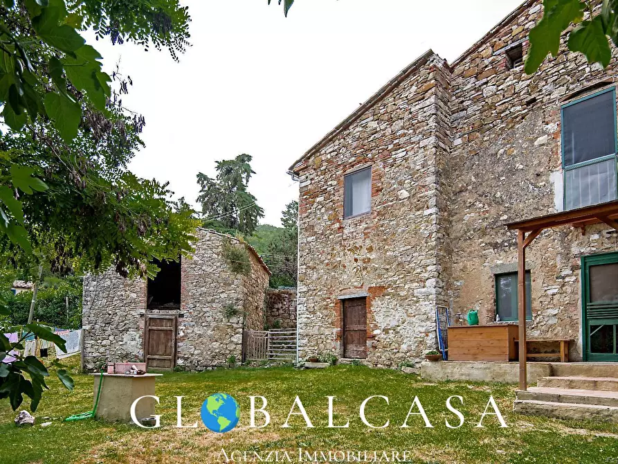 Immagine 3 di Rustico / casale in vendita  in case sparse 17 a Scansano