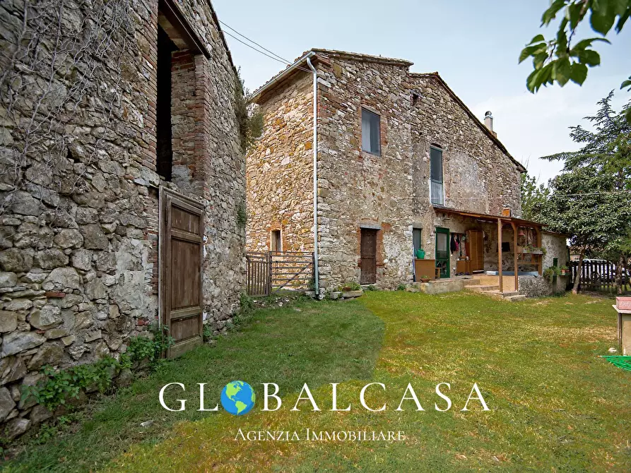 Immagine 4 di Rustico / casale in vendita  in case sparse 17 a Scansano