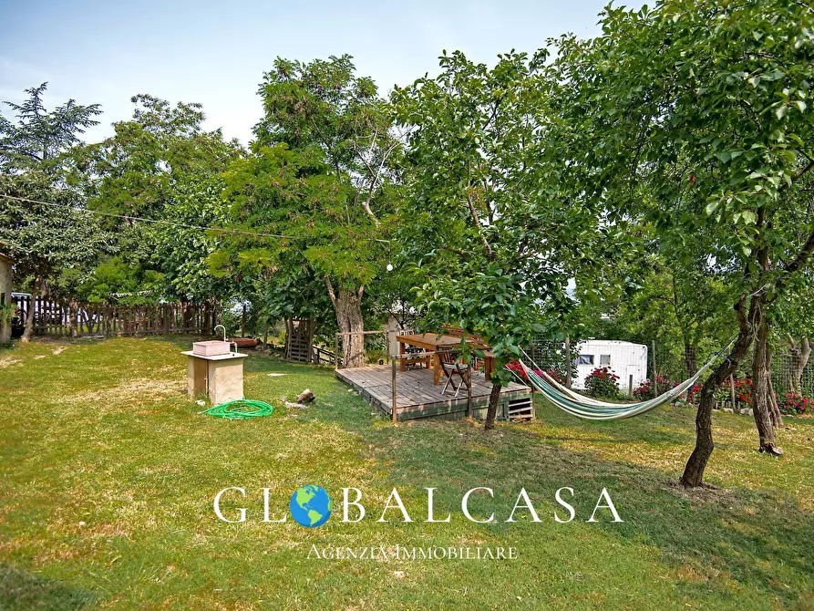 Immagine 5 di Rustico / casale in vendita  in case sparse 17 a Scansano