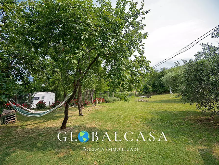 Immagine 7 di Rustico / casale in vendita  in case sparse 17 a Scansano