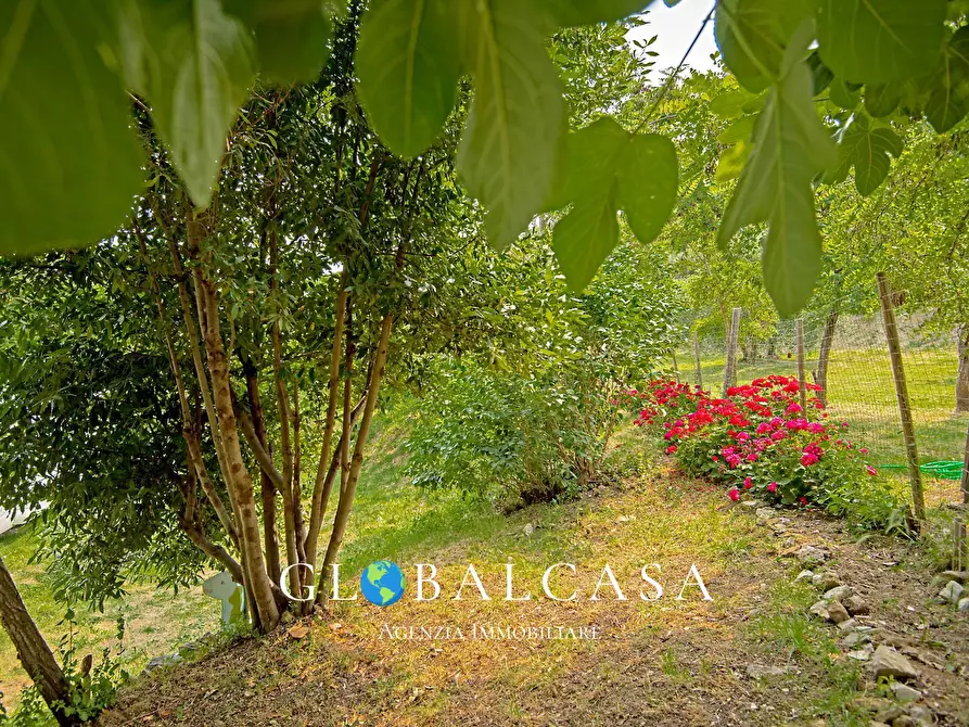 Immagine 8 di Rustico / casale in vendita  in case sparse 17 a Scansano