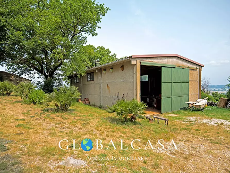 Immagine 9 di Rustico / casale in vendita  in case sparse 17 a Scansano