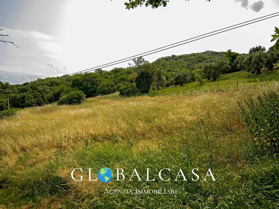 Immagine 10 di Rustico / casale in vendita  in case sparse 17 a Scansano