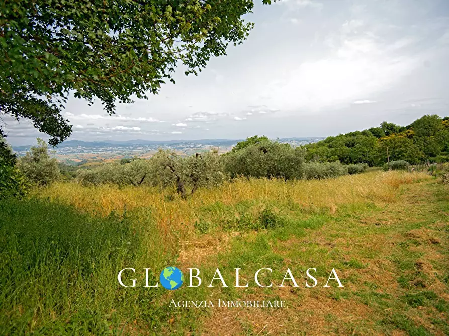 Immagine 11 di Rustico / casale in vendita  in case sparse 17 a Scansano