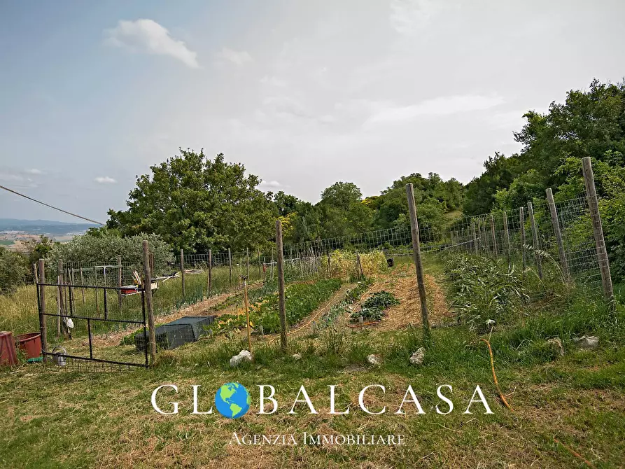 Immagine 13 di Rustico / casale in vendita  in case sparse 17 a Scansano