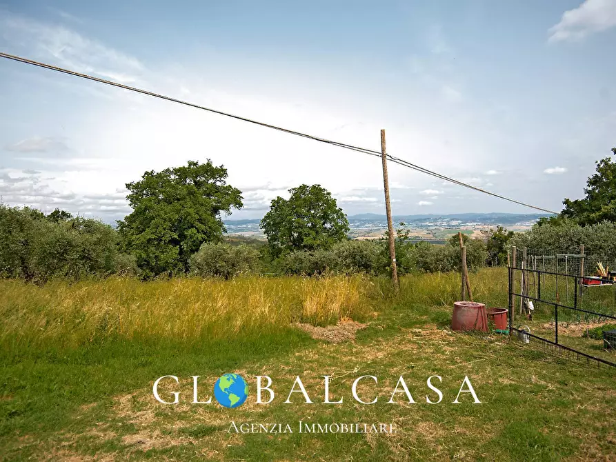 Immagine 14 di Rustico / casale in vendita  in case sparse 17 a Scansano