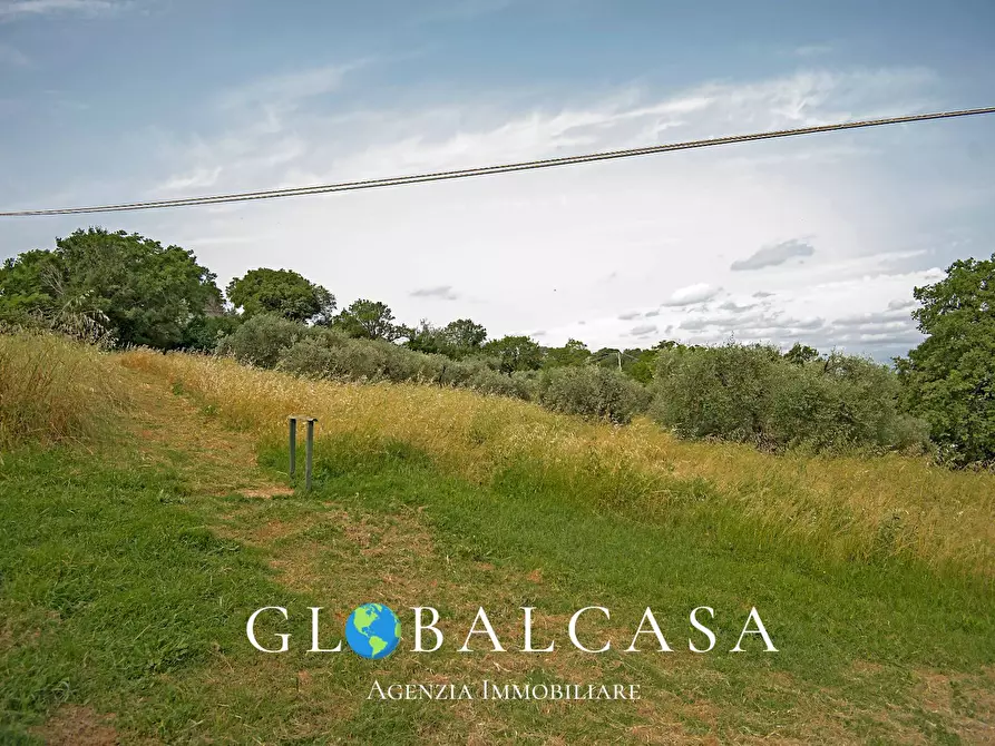 Immagine 15 di Rustico / casale in vendita  in case sparse 17 a Scansano