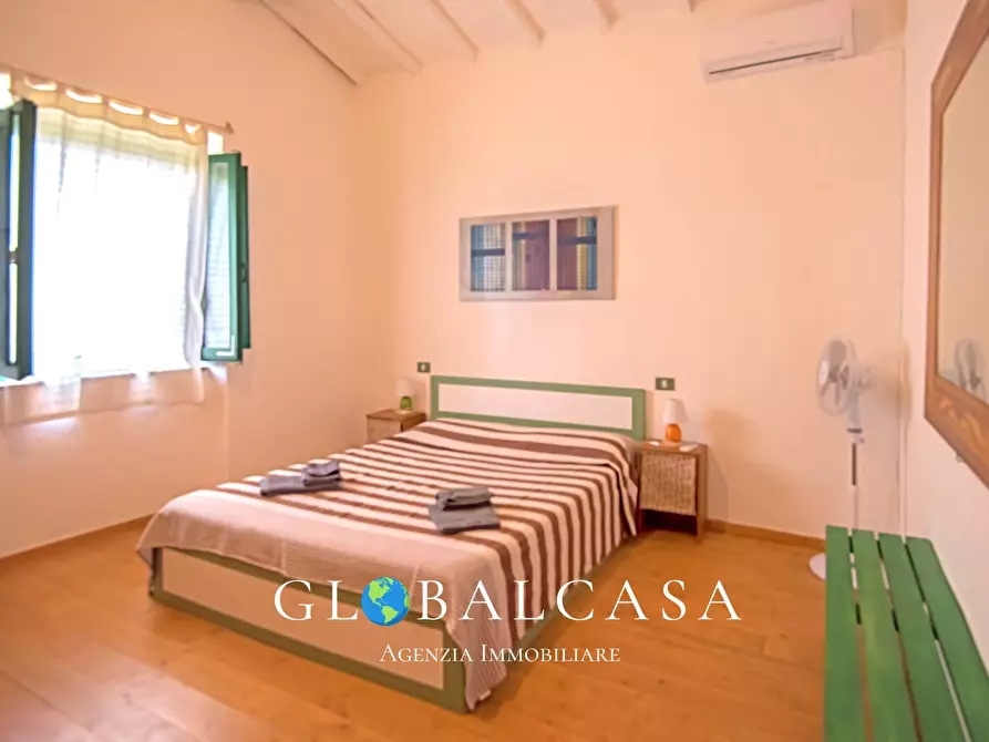 Immagine 20 di Rustico / casale in vendita  in case sparse 17 a Scansano