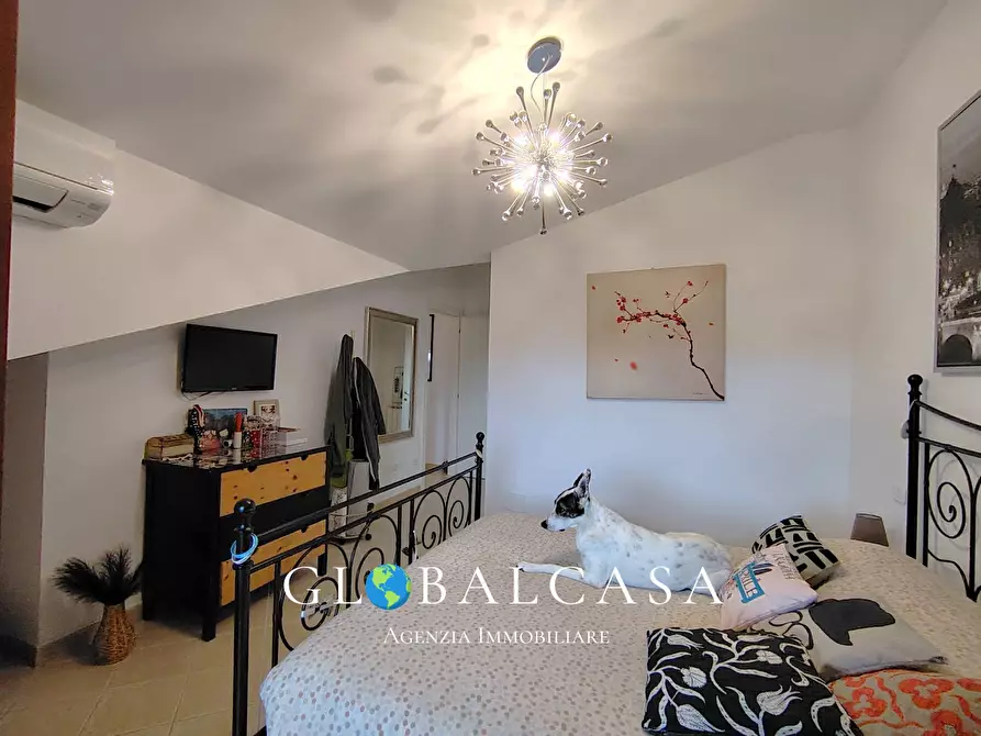 Immagine 21 di Appartamento in vendita  in Via del Padule 287 a Grosseto