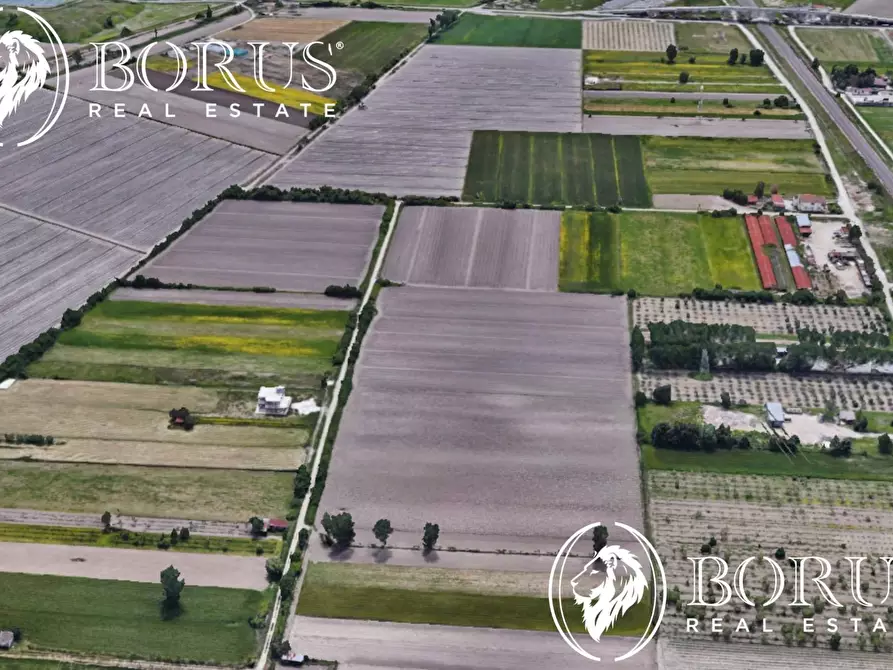 Immagine 4 di Terreno agricolo in vendita  a San Tammaro