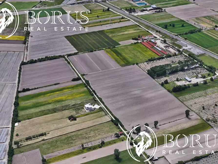 Immagine 5 di Terreno agricolo in vendita  a San Tammaro