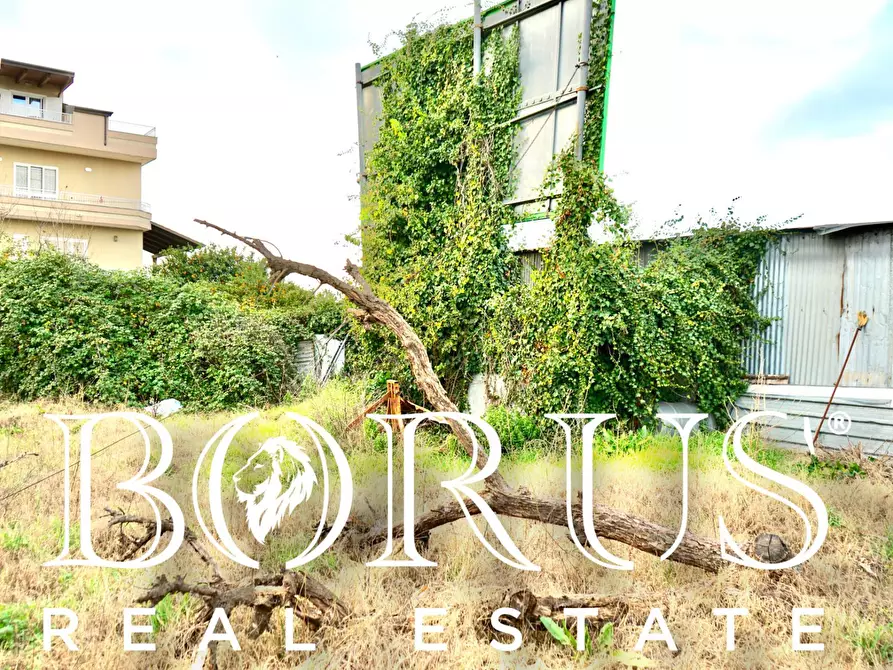 Immagine 3 di Terreno residenziale in affitto  in Via Romaniello a Trentola Ducenta