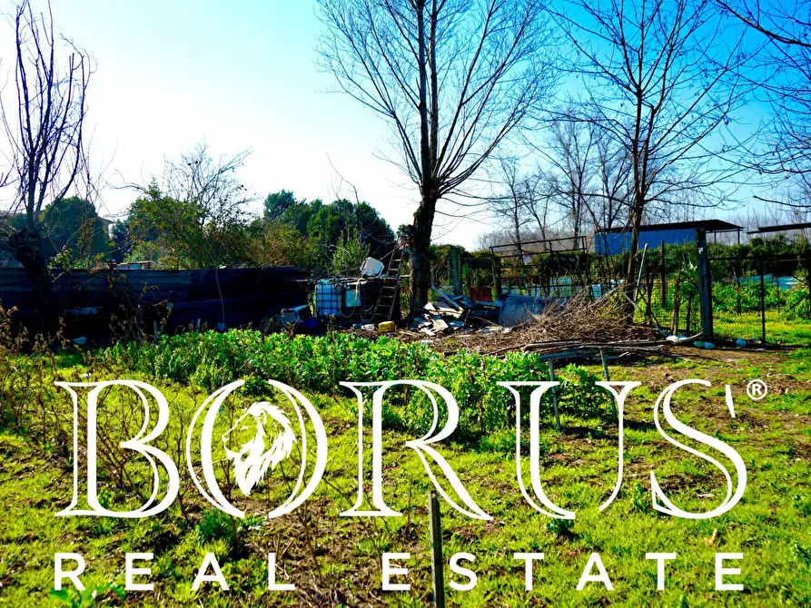 Immagine 3 di Terreno agricolo in vendita  in Via Enrico De Nicola a Trentola Ducenta