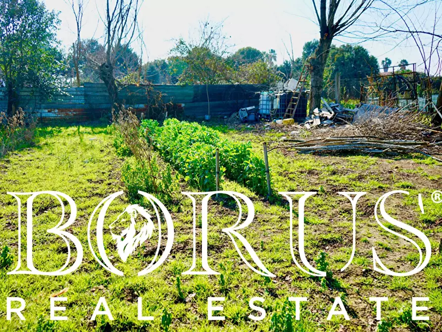 Immagine 4 di Terreno agricolo in vendita  in Via Enrico De Nicola a Trentola Ducenta