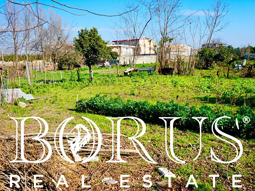 Immagine 5 di Terreno agricolo in vendita  in Via Enrico De Nicola a Trentola Ducenta